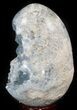 Crystal Filled Celestine (Celestite) Egg - Madagascar #41691-2